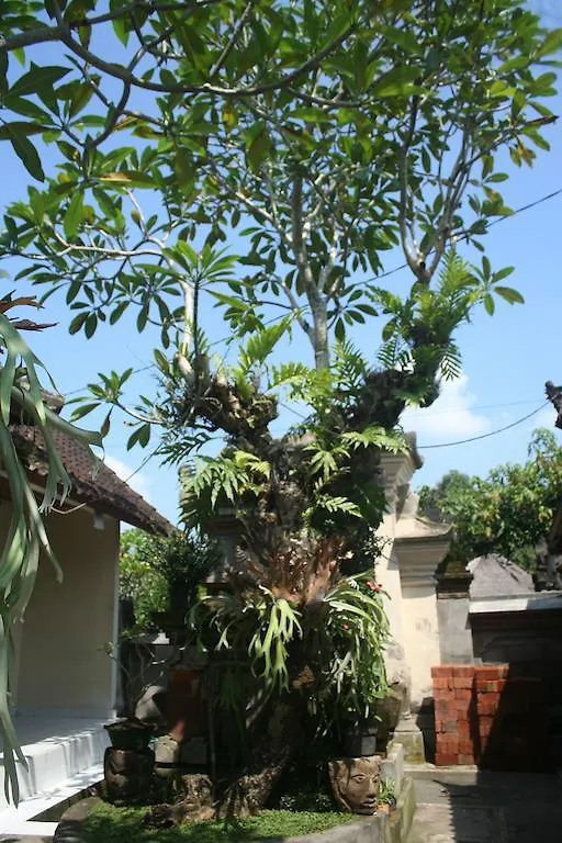 Nugraha Guesthouse 1 Ubud 0*,